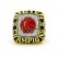 2002 Indiana Hoosiers Big Ten Championship Ring/Pendant(Premium)